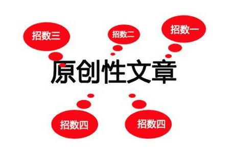 拉萨网站建设SEO原创文章