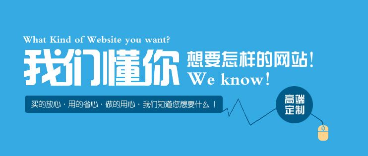 拉萨做网站公司