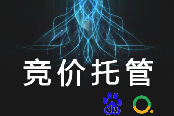 竞价投管